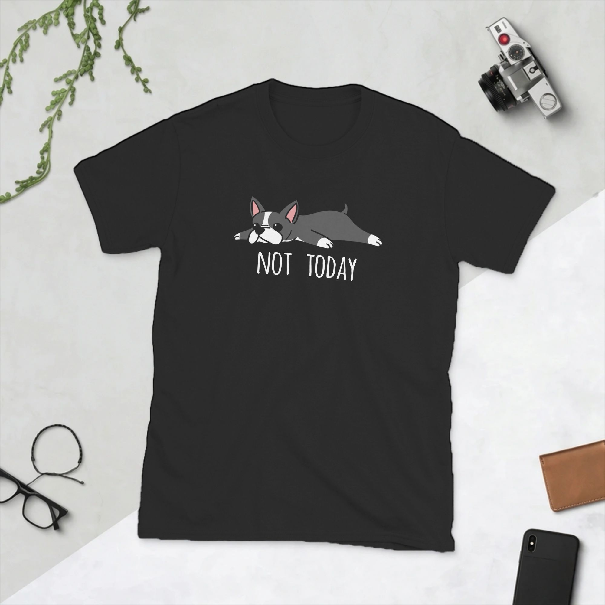 Summer Clothing Ideas - Grappig Niet Vandaag Boston Terrier Hond