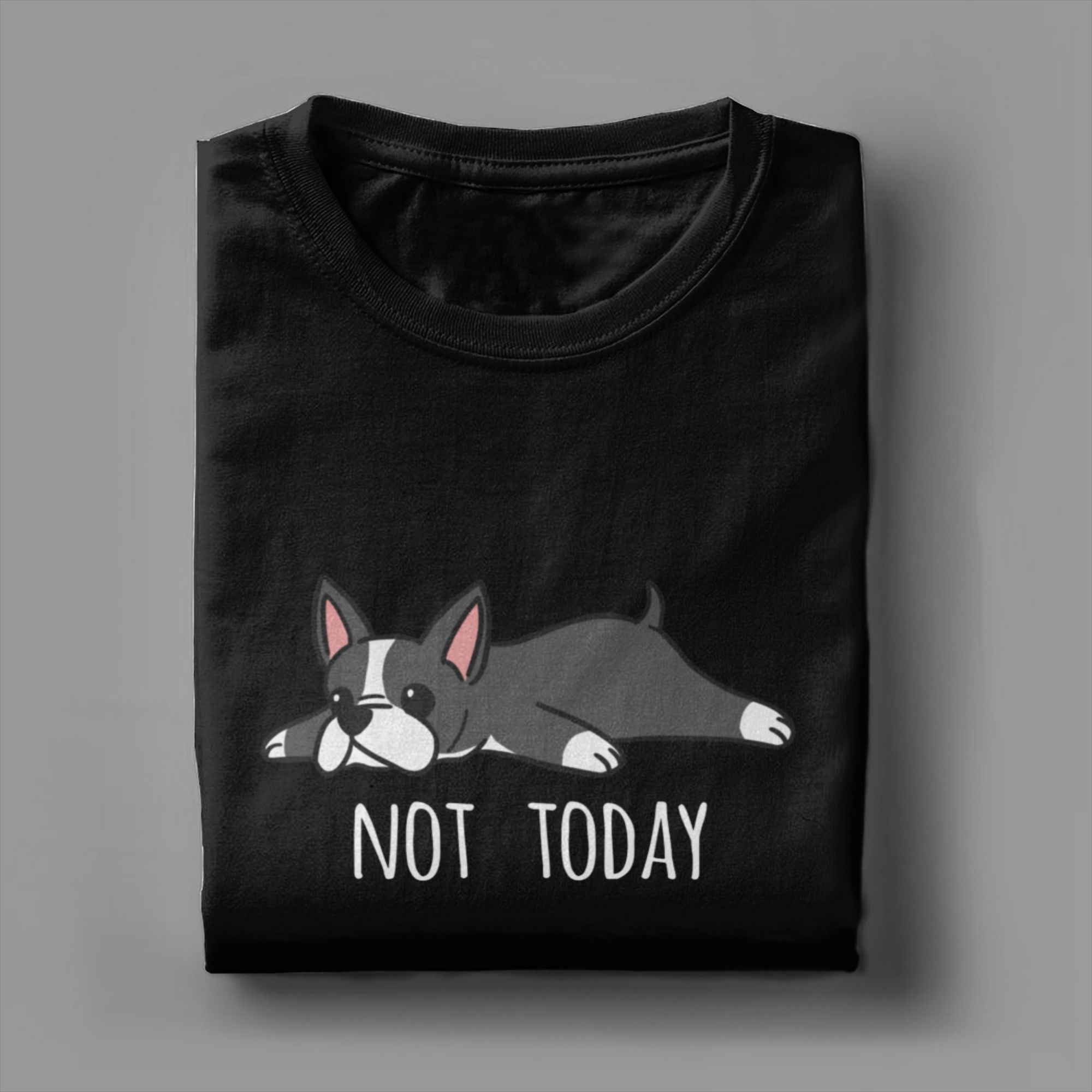 Grappig Niet Vandaag Boston Te - Summer Clothing Ideas recensie en prijs